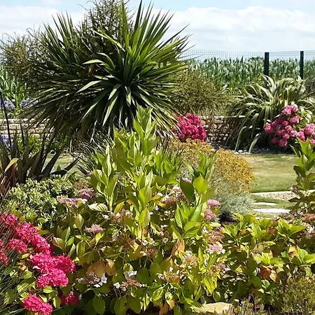 Apartment De Porspol Brignogan-Plages